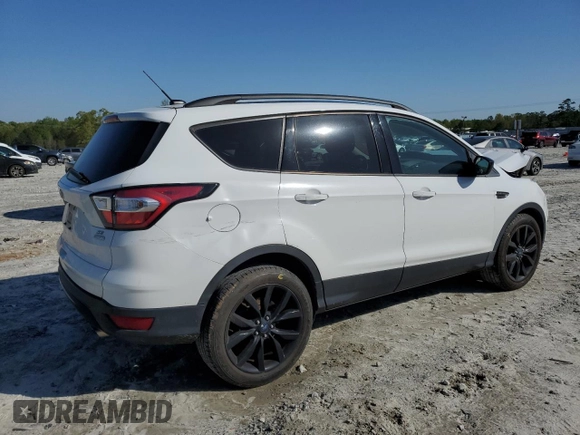 2017 Ford Escape SE with VIN 1FMCU0GD3HUE64796, listed as a Copart auction lot 51954405 with 120,709 mi miles and Salvage Title. Bid and sale history available at carsss.com. Image 3.