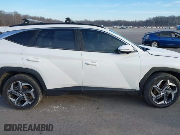 2022 Hyundai Tucson SEL with VIN 5NMJCCAE7NH158933, listed as a IAAI auction lot 41531628 with 57,996 mi miles and . Bid and sale history available at DreamBid. Image 13.