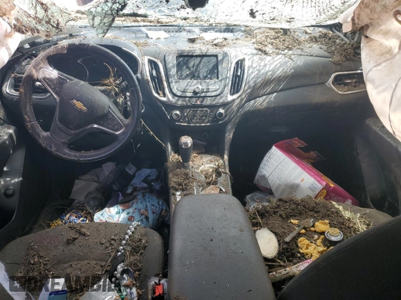 2019 Chevrolet Equinox LT with VIN 3GNAXKEV3KS613460, listed as a Copart auction lot 48407255 with 104,425 mi miles and Salvage Title. Bid and sale history available at carsss.com. Image 8.