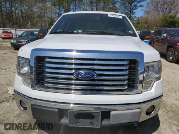 2010 Ford F-150 XL with VIN 1FTEW1C87AFD70646, listed as a Copart auction lot 53051625 with 162,396 mi miles and Salvage Title. Bid and sale history available at carsss.com. Image 5.