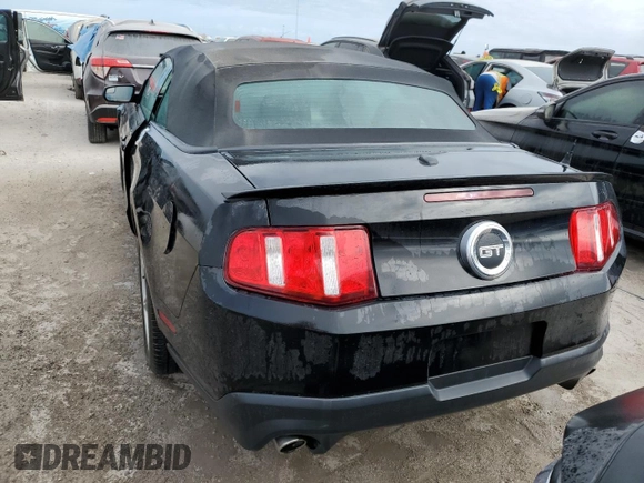 2011 Ford Mustang GT with VIN 1ZVBP8FF2B5155683, listed as a Copart auction lot 74577074 with Not Provided miles and Non Repairable. Bid and sale history available at DreamBid. Image 6.