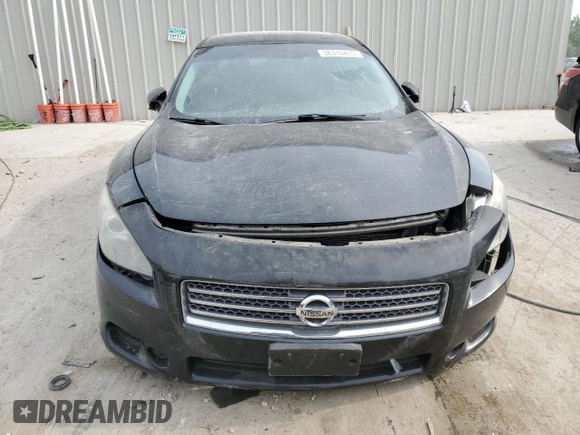 2010 Nissan Maxima SV with VIN 1N4AA5AP3AC818127, listed as a Copart auction lot 58318415 with Not provided miles and Clean title. Bid and sale history available at DreamBid. Image 5.