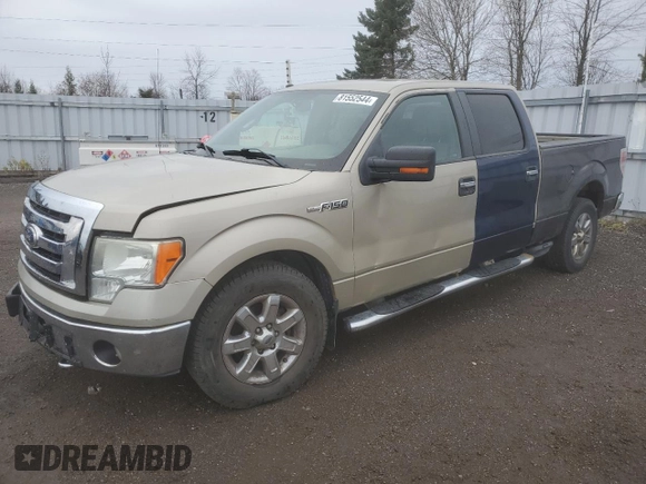 2009 Ford F-150 XL with VIN 1FTRW14869FA71127, listed as a Copart auction lot 81552544 with Not provided miles and Salvage title. Bid and sale history available at DreamBid. Image 1.