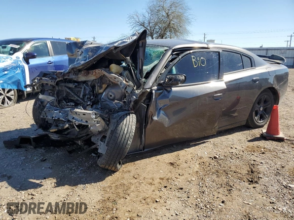 2016 Dodge Charger SE with VIN 2C3CDXBG6GH246372, listed as a Copart auction lot 46460065 with Not Provided miles and Non Repairable. Bid and sale history available at carsss.com. Image 1.
