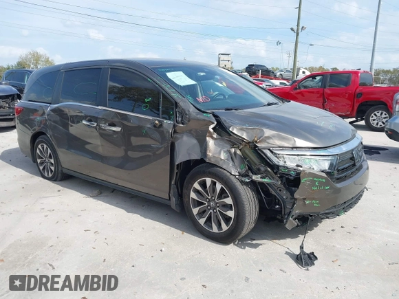 2022 Honda Odyssey EX-L with VIN 5FNRL6H77NB031502, listed as a IAAI auction lot 41706098 with 57,074 mi miles and . Bid and sale history available at DreamBid. Image 1.