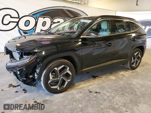 2024 Hyundai Tucson Limited with VIN 5NMJECDEXRH299555, listed as a Copart auction lot 50305005 with 48,861 mi miles and Salvage Title. Bid and sale history available at carsss.com. Image 1.