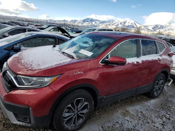 2020 Honda CR-V EX-L with VIN 5J6RW2H85LL015411, listed as a Copart auction lot 45517295 with 55,039 mi miles and Salvage Title. Bid and sale history available at carsss.com. Image 1.