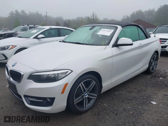 2017 BMW 2 Series with VIN WBA2M9C3XH7A47692, listed as a IAAI auction lot 42172525 with 69,504 mi miles and . Bid and sale history available at DreamBid. Image 18.