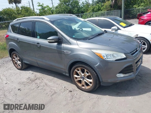 2014 Ford Escape Titanium with VIN 1FMCU0JX9EUE35382, listed as a IAAI auction lot 42085453 with 162,701 mi miles. Bid and sale history available at carsss.com. Image 1.