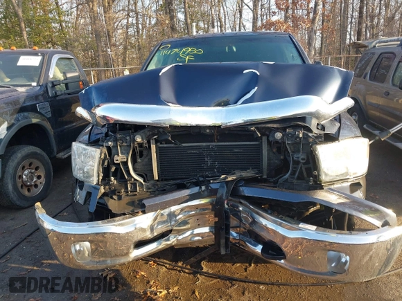 2015 Ram 1500 Big Horn with VIN 1C6RR7TM7FS569176, listed as a IAAI auction lot 41474950 with 220,742 mi miles and . Bid and sale history available at DreamBid. Image 12.