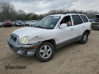 2002 Hyundai Santa Fe GLS with VIN KM8SC13D72U291088, listed as a Copart auction lot 49325285 with 218,046 mi miles and Salvage Title. Bid and sale history available at carsss.com. Image 1.