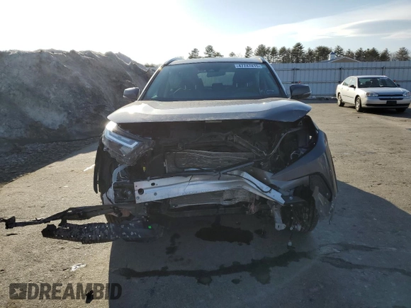 2024 Toyota RAV4 XLE with VIN 2T3P1RFV0RC449191, listed as a Copart auction lot 47747415 with 20,185 mi miles and Salvage Title. Bid and sale history available at DreamBid. Image 5.