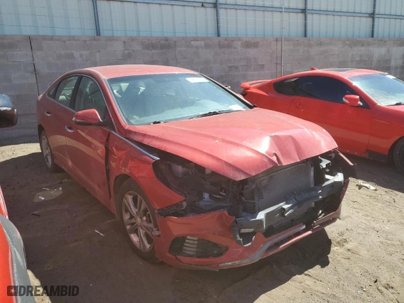 2019 Hyundai Sonata Sport with VIN 5NPE34AF5KH808762, listed as a Copart auction lot 48511025 with 0 mi miles and Clean Title. Bid and sale history available at carsss.com. Image 4.