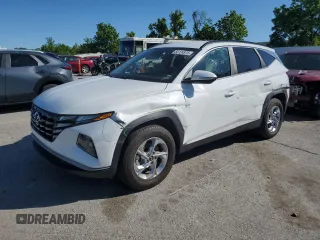 2023 Hyundai Tucson SEL with VIN 5NMJBCAE0PH200929, listed as a Copart auction lot 58124975 with 49,165 mi miles and Salvage title. Bid and sale history available at DreamBid. Image 1.