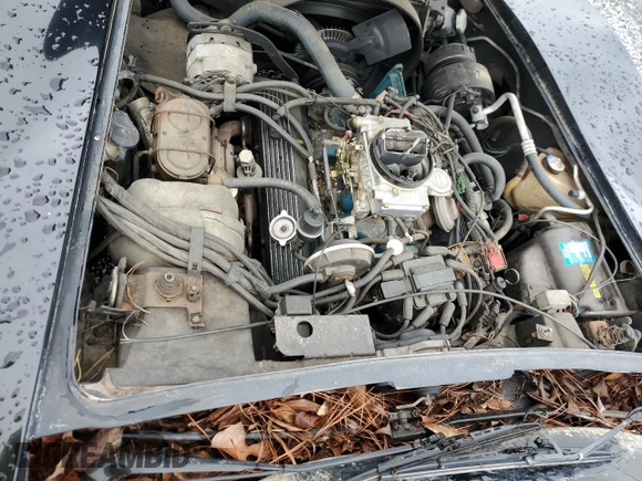 1981 Chevrolet Corvette z VIN 1G1AY8763BS401984, wystawiony jako Copart lot #58464195 z przebiegiem 33 180 mil mil oraz Czysty tytuł • Clean title. Historia ofert i sprzedaży dostępna na DreamBid. Obrazek 11.