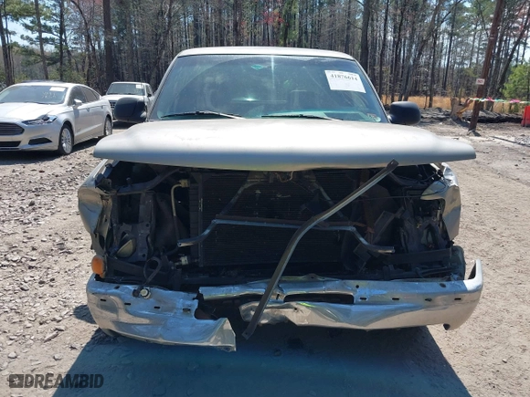 1999 Chevrolet Silverado 1500 LS with VIN 1GCEC19V1XZ189717, listed as a IAAI auction lot 41876614 with 217,019 mi miles. Bid and sale history available at carsss.com. Image 6.