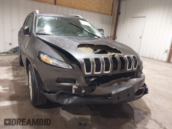 2016 Jeep Cherokee High Altitude with VIN 1C4PJLDB6GW280989, listed as a IAAI auction lot 41918911 with 142,695 mi miles. Bid and sale history available at carsss.com. Image 6.