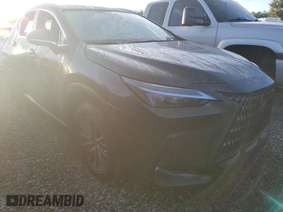 2022 Lexus NX with VIN 2T2ADCAZ4NC002446, listed as a Copart auction lot 73936134 with 11,751 mi miles and Salvage Title. Bid and sale history available at carsss.com. Image 4.