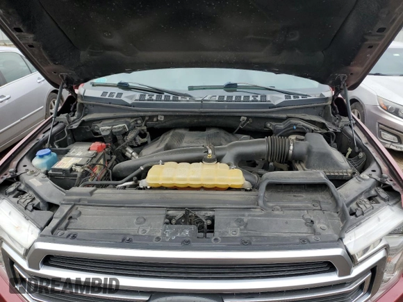 2019 Ford F-150 Limited with VIN 1FTEW1EG8KFA09819, listed as a Copart auction lot 47557435 with 169,346 mi miles and Salvage Title. Bid and sale history available at carsss.com. Image 11.