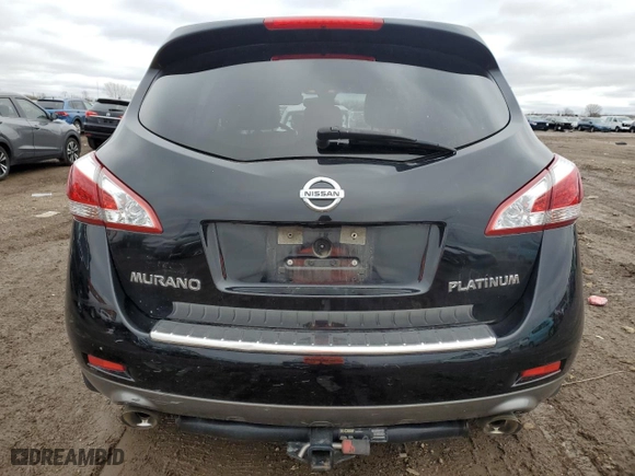 2013 Nissan Murano LE with VIN JN8AZ1MU2DW207512, listed as a Copart auction lot 79976864 with 132,483 mi miles and Salvage Title. Bid and sale history available at carsss.com. Image 6.