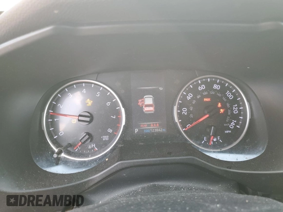 2019 Toyota RAV4 LE with VIN 2T3F1RFV5KC010487, listed as a Copart auction lot 47441605 with 123,842 mi miles and Clean Title. Bid and sale history available at carsss.com. Image 9.