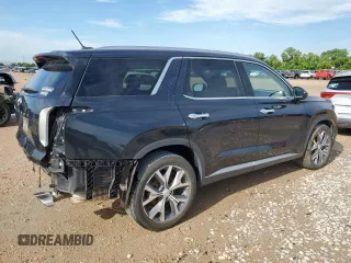 2020 Hyundai Palisade SEL with VIN KM8R34HE4LU145055, listed as a Copart auction lot 58087325 with 77,074 mi miles and Salvage title. Bid and sale history available at DreamBid. Image 3.