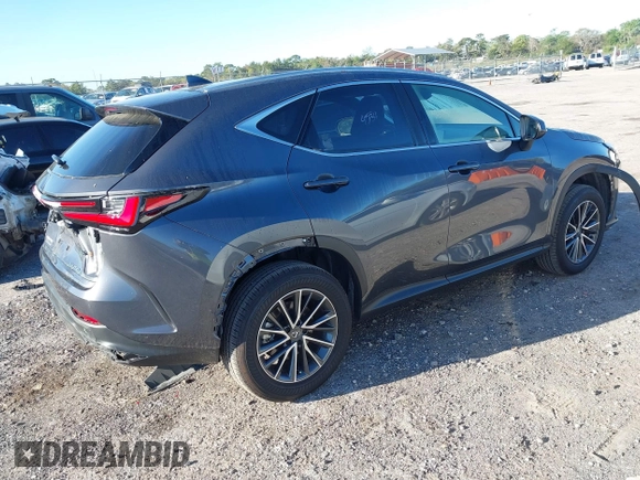 2024 Lexus NX with VIN JTJGDCAZXR5020805, listed as a IAAI auction lot 41828608 with 10,769 mi miles. Bid and sale history available at carsss.com. Image 4.