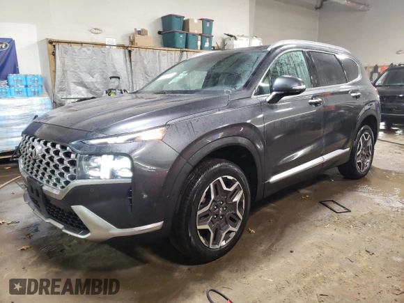 2023 Hyundai Santa Fe Limited with VIN 5NMS4DAL2PH485880, listed as a Copart auction lot 44610855 with 20,015 mi miles and Salvage Title. Bid and sale history available at carsss.com. Image 1.