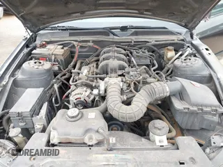 2009 Ford Mustang with VIN 1ZVHT80N295101977, listed as a IAAI auction lot 41566811 with 215,250 mi miles and . Bid and sale history available at carsss.com. Image 10.