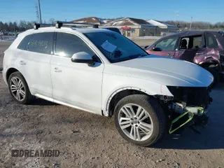 2019 Audi Q5 Premium Plus z VIN WA1BNAFY3K2067609, wystawiony jako IAAI lot #41344013 z przebiegiem 50 795 mil mil oraz . Historia ofert i sprzedaży dostępna na DreamBid. Obrazek 1.