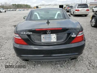2013 Mercedes-Benz SLK 250 with VIN WDDPK4HA7DF073209, listed as a Copart auction lot 48878235 with 87,899 mi miles and Salvage title. Bid and sale history available at DreamBid. Image 6.