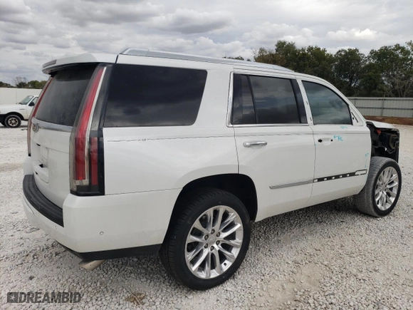 2019 Cadillac Escalade Luxury with VIN 1GYS3BKJ0KR193227, listed as a Copart auction lot 74701034 with 70,252 mi miles and Salvage Title. Bid and sale history available at carsss.com. Image 3.