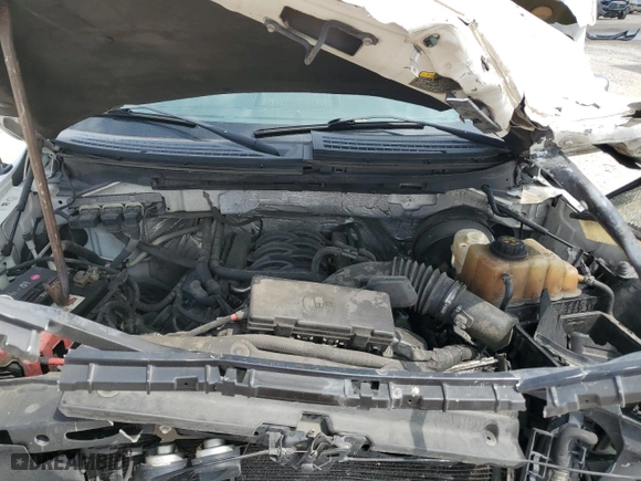 2013 Ford F-150 XL with VIN 1FTFW1CF7DFB53881, listed as a Copart auction lot 49353835 with 172,630 mi miles and Salvage Title. Bid and sale history available at carsss.com. Image 11.