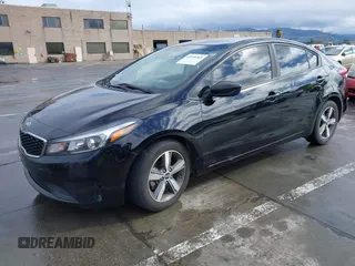 2018 Kia Forte LX with VIN 3KPFL4A79JE262984, listed as a IAAI auction lot 41518365 with 119,189 mi miles and . Bid and sale history available at DreamBid. Image 16.