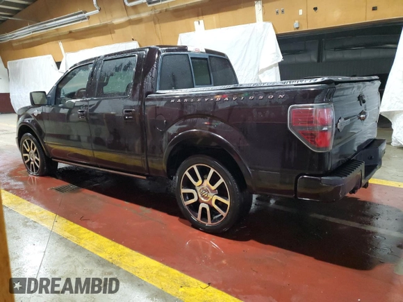 2010 Ford F-150 with VIN 1FTEW1CV3AFA48561, listed as a Copart auction lot 56859225 with 170,896 mi miles and Clean title. Bid and sale history available at DreamBid. Image 2.
