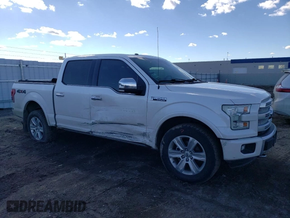 2017 Ford F-150 XL with VIN 1FTEW1EG3HFA74795, listed as a Copart auction lot 46892235 with 118,333 mi miles and Salvage Title. Bid and sale history available at carsss.com. Image 4.