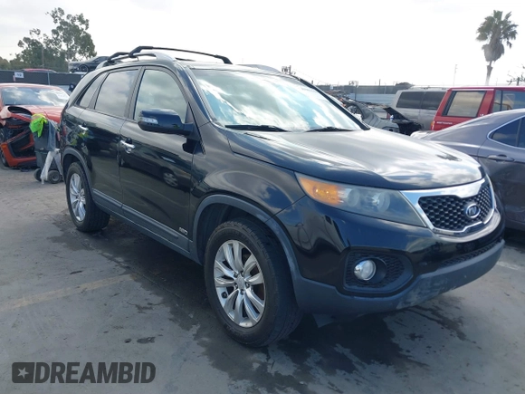 2011 Kia Sorento EX with VIN 5XYKUDA23BG036105, listed as a IAAI auction lot 41903580 with 131,529 mi miles. Bid and sale history available at carsss.com. Image 1.