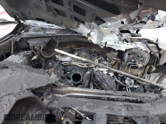 2019 Ford F-150 XL with VIN 1FTEW1E50KKC39280, listed as a Copart auction lot 53943915 with Not provided miles and Salvage title. Bid and sale history available at DreamBid. Image 11.