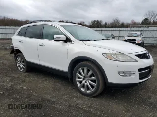 2009 Mazda CX-9 Touring with VIN JM3TB38V190176519, listed as a Copart auction lot 51087505 with 123,771 mi miles and Salvage Title. Bid and sale history available at carsss.com. Image 4.
