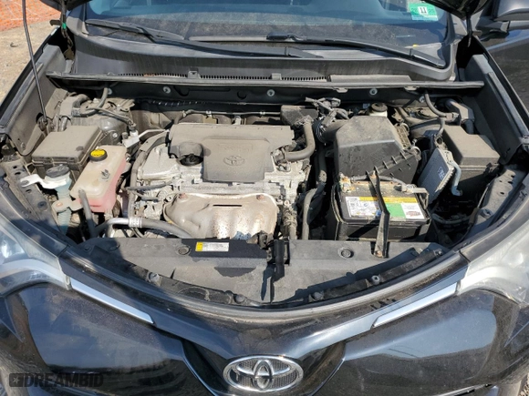 2016 Toyota RAV4 LE with VIN 2T3BFREV0GW425806, listed as a Copart auction lot 48793135 with 0 mi miles and Salvage Title. Bid and sale history available at carsss.com. Image 12.