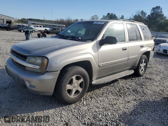 2003 Chevrolet TrailBlazer LS with VIN 1GNDS13SX32140300, listed as a Copart auction lot 48967135 with 284,988 mi miles and Salvage Title. Bid and sale history available at carsss.com. Image 1.
