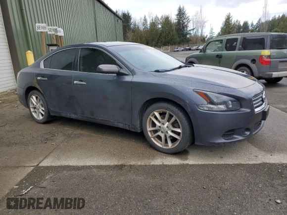 2013 Nissan Maxima SV with VIN 1N4AA5AP2DC831357, listed as a Copart auction lot 49507355 with 206,941 mi miles and Clean title. Bid and sale history available at DreamBid. Image 4.