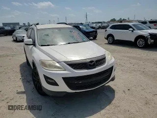 2010 Mazda CX-9 Sport with VIN JM3TB2MA9A0209123, listed as a Copart auction lot 53829575 with 173,489 mi miles and Salvage Title. Bid and sale history available at DreamBid. Image 14.