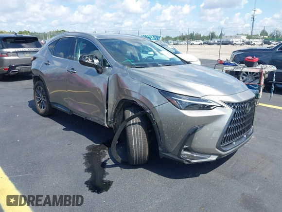 2024 Lexus NX 250 с VIN 2T2ADCAZ3RC009989, выставлен на аукционе IAAI как лот 42331593 с пробегом 14 240 миль миль и . История ставок и продаж доступна на DreamBid. Изображение 1.