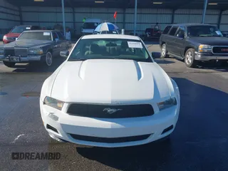 2010 Ford Mustang V6 with VIN 1ZVBP8AN5A5131407, listed as a IAAI auction lot 42168094 with 231,547 mi miles and . Bid and sale history available at DreamBid. Image 6.