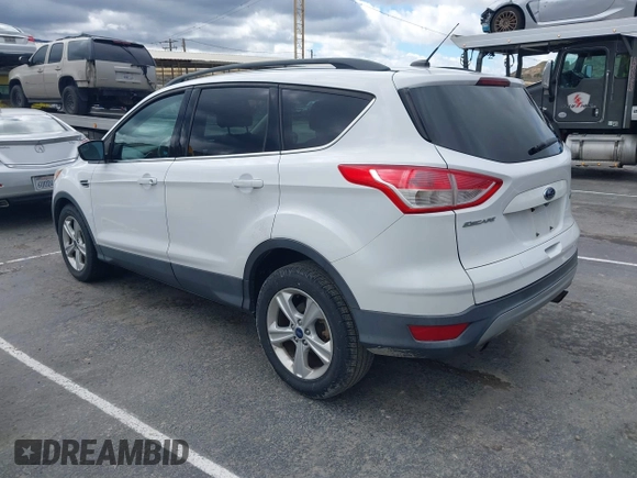 2014 Ford Escape SE with VIN 1FMCU0GX5EUC45408, listed as a IAAI auction lot 41795382 with 119,955 mi miles. Bid and sale history available at carsss.com. Image 3.