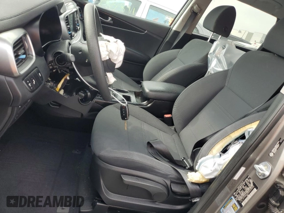 2019 Kia Sorento LX with VIN 5XYPG4A33KG509006, listed as a Copart auction lot 52101645 with 0 mi miles and Non Repairable. Bid and sale history available at carsss.com. Image 7.