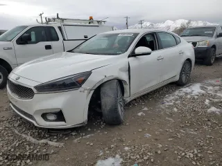 2019 Kia Cadenza Premium with VIN KNALB4J18K5167506, listed as a Copart auction lot 84841834 with 71,989 mi miles and Salvage Title. Bid and sale history available at carsss.com. Image 1.