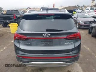 2023 Hyundai Santa Fe Limited with VIN 5NMS5DA19PH013204, listed as a IAAI auction lot 41909727 with 17,206 mi miles and . Bid and sale history available at DreamBid. Image 16.