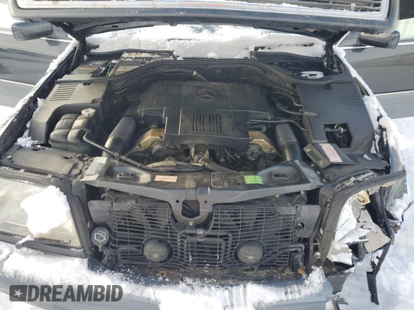 1996 Mercedes-Benz S with VIN WDBGA43E6TA296567, listed as a Copart auction lot 88854195 with 173,766 mi miles and Clean Title. Bid and sale history available at DreamBid. Image 11.
